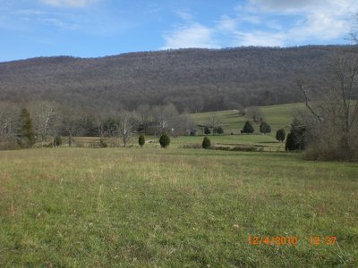 Looking east at Cove Mt.