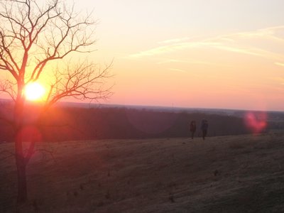 If you look on an angle, you'll see Karen and Matthew in silhouette against the treeline.