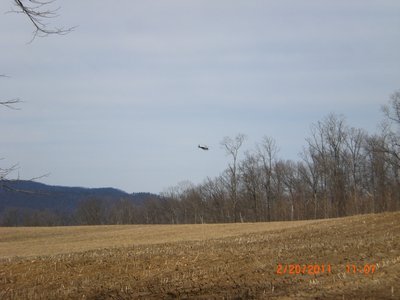 Police chopper skimming the treetops.