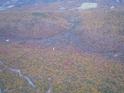 Tony D enjoying his flight above the fall colors