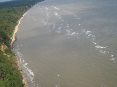 My only photo that turned out of the many bald eagles in the air... Look just 'offshore' of the widest section of beach.