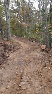 A look up the trail toward launch, from the parking area.