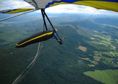 Showing the upper field of the Primary LZ