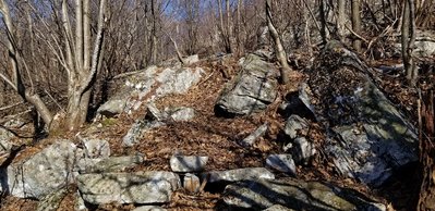 Here's a section of a path that Joe S and Charlie and I carved out. Lots-o-trees ripe for dropping!