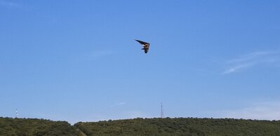 20200703_195448.small.jpg