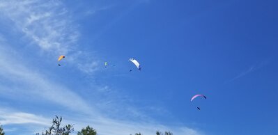 Colorful flock of 5 PG'ers circling south of launch.