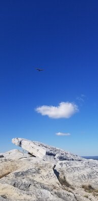 A bit later, Bacil above launch.