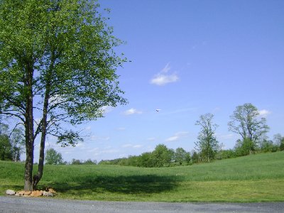 Entering the field.