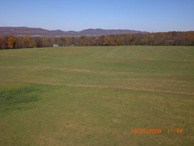 On final at 50' over the main field.