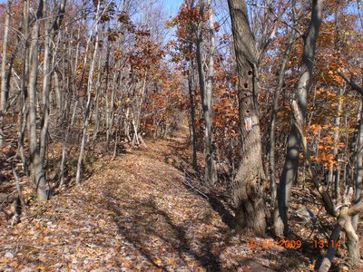 Hiking the Tuscarora Mountain Trail.