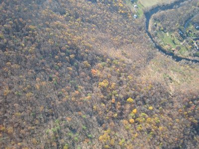 Some fall colors still hanging on, near the broad finger, south of the resevoir