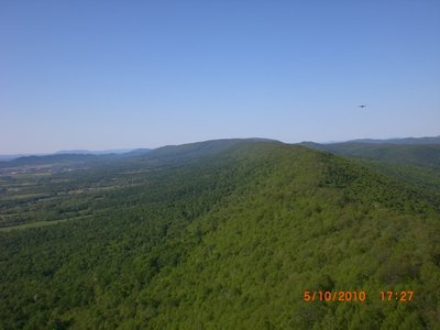 Chasing a redtail back north.