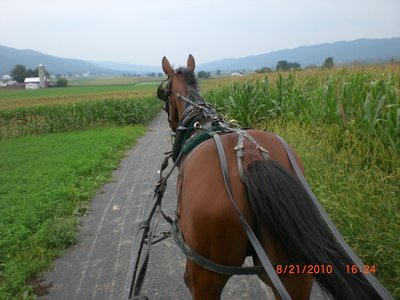 A nice ride through the Amish farmland.