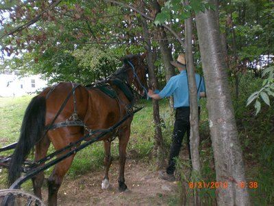 Tethering the horse before hitting the trail.