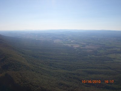 The sea of trees that is Short Mountain.