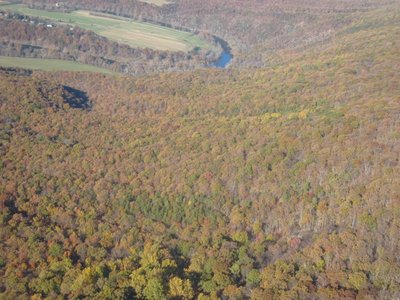 Dusky fall colors on the lower slopes.