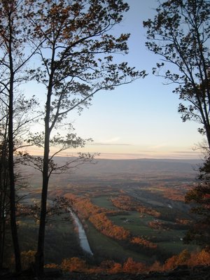 Another valley view, framed by the trees at launch.