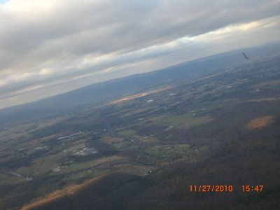 Bald eagle at 2 o'clock.